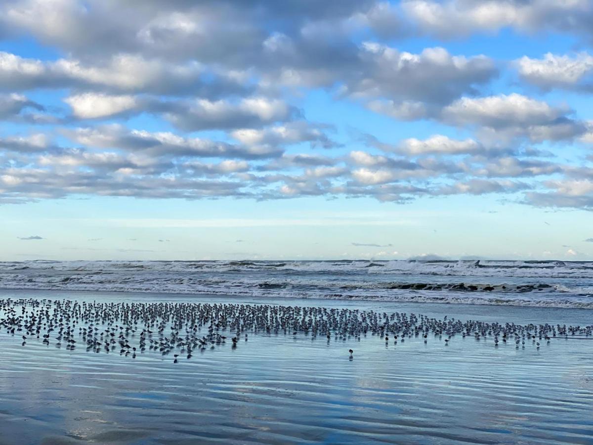 Tidal House #10 - Ocean Shores Chalet Екстер'єр фото